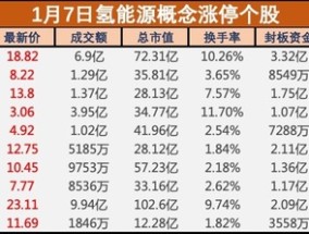 盤中必讀|政策持續(xù)發(fā)力，氫能板塊大漲，雄韜股份、京城股份等多股漲停|界面新聞 · 證券